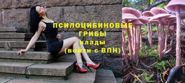 сатива Алексин