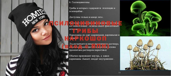 сатива Алексин