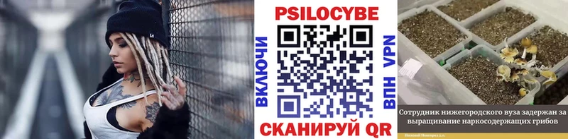 Псилоцибиновые грибы MAGIC MUSHROOMS  Новошахтинск 